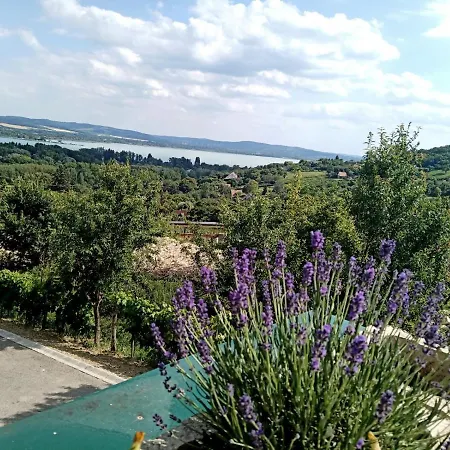 Guest house Ferenc Vendeghaz *